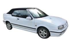 R 19 (1993-1995)